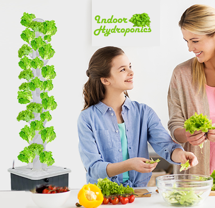 hydroponics vegetables