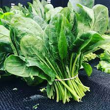 Spinach_best vegetables for hydroponics
