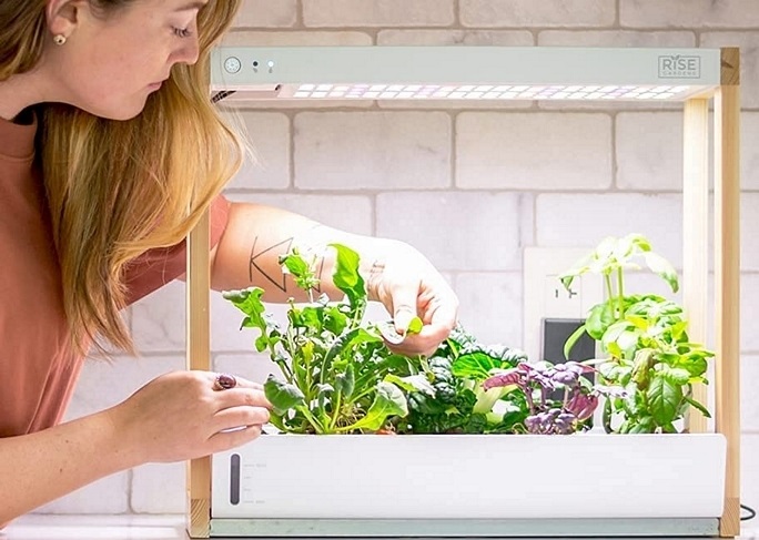 Hydroponic equipment you needed for Hydroponic Grow System