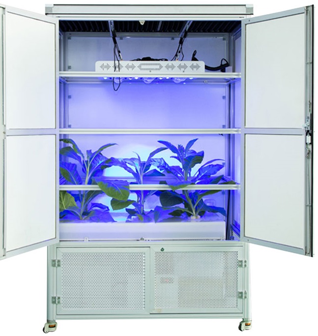 Complete Hydroponic Grow Kits, Grow Trays, and More